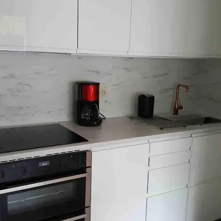 Spacious Flat With Lounge Terrace, Near The Sea アパート デ パンネ